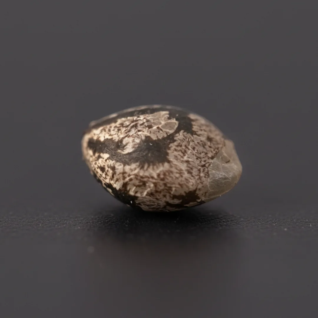 Peach Fuel Auto — image 3