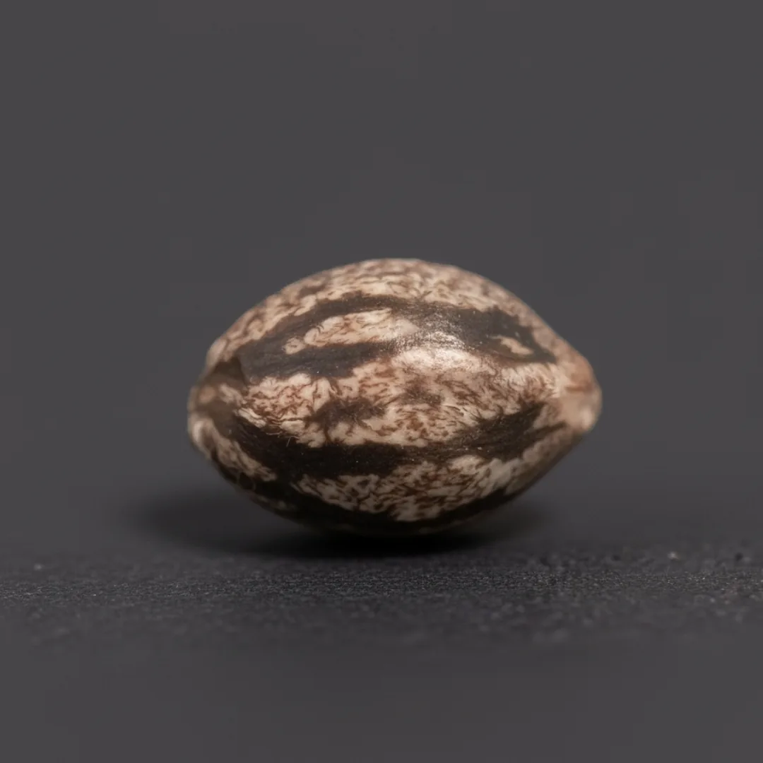 Purple Garlic — image 3
